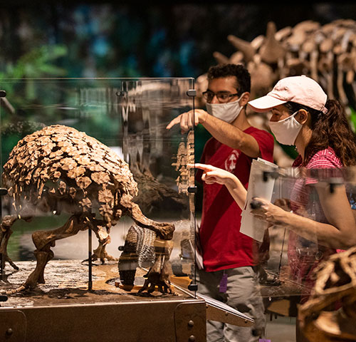 We Love Our Members Day: Museums of Art and Natural History