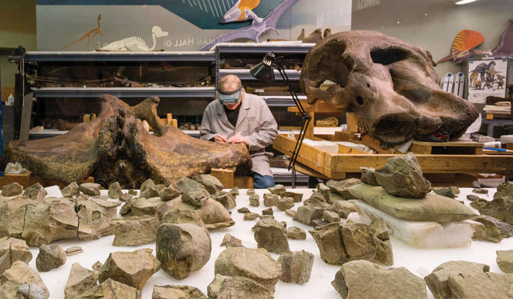 Man working on fossils in a lab