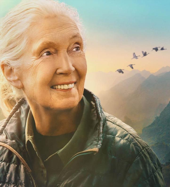 Jane Goodall standing against a panoramic mountain backdrop, with birds flying across a vibrant sky at sunset.