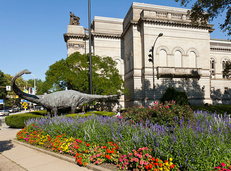 An exterior view of the museum of natural history