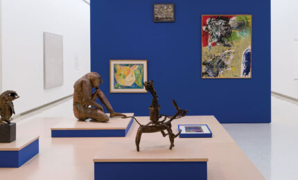 Installation view of the Cobra artwork.