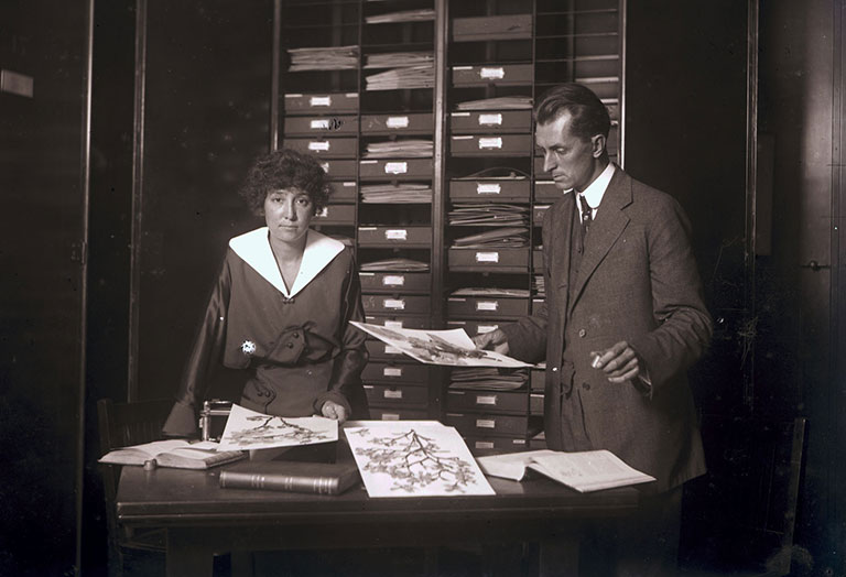 A vintage photo of a man and woman in a herbarium