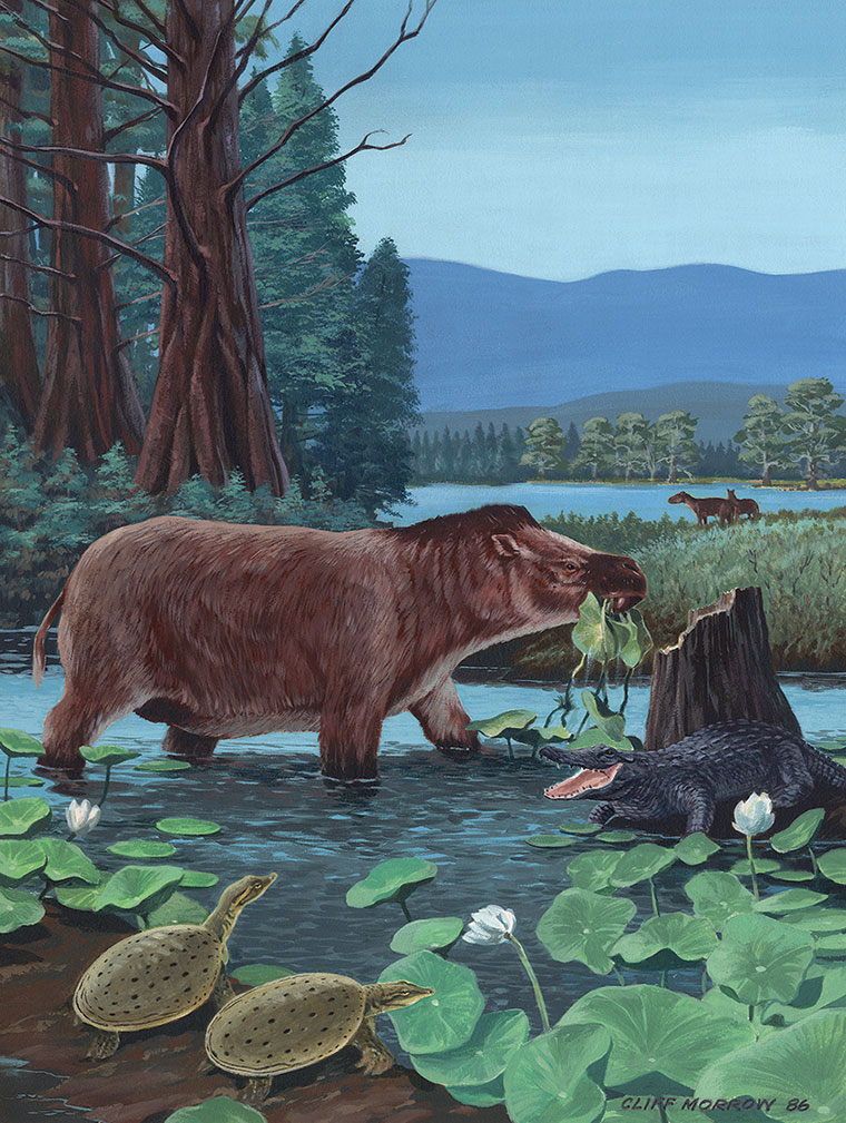 An illustration of an early Eocene