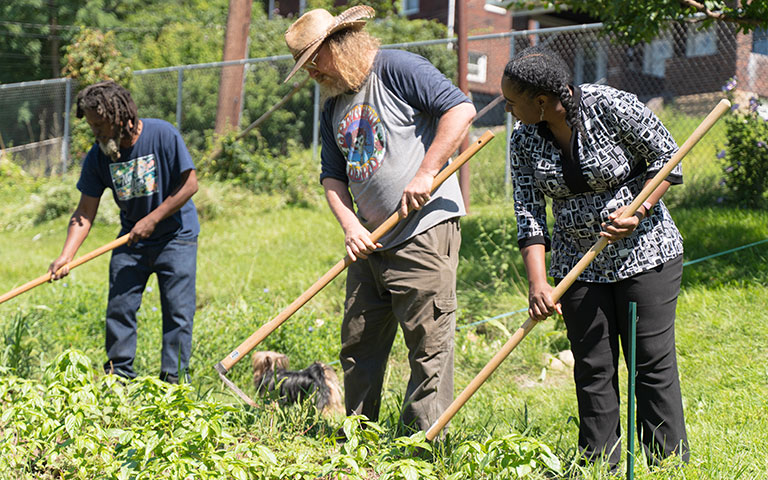 A series of images depicting people at work in community farming