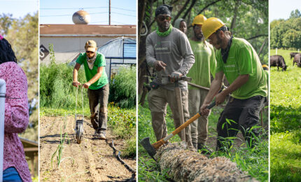 A series of images depicting people at work in community farming
