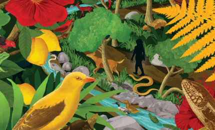 An illustration of a human figure walking through nature
