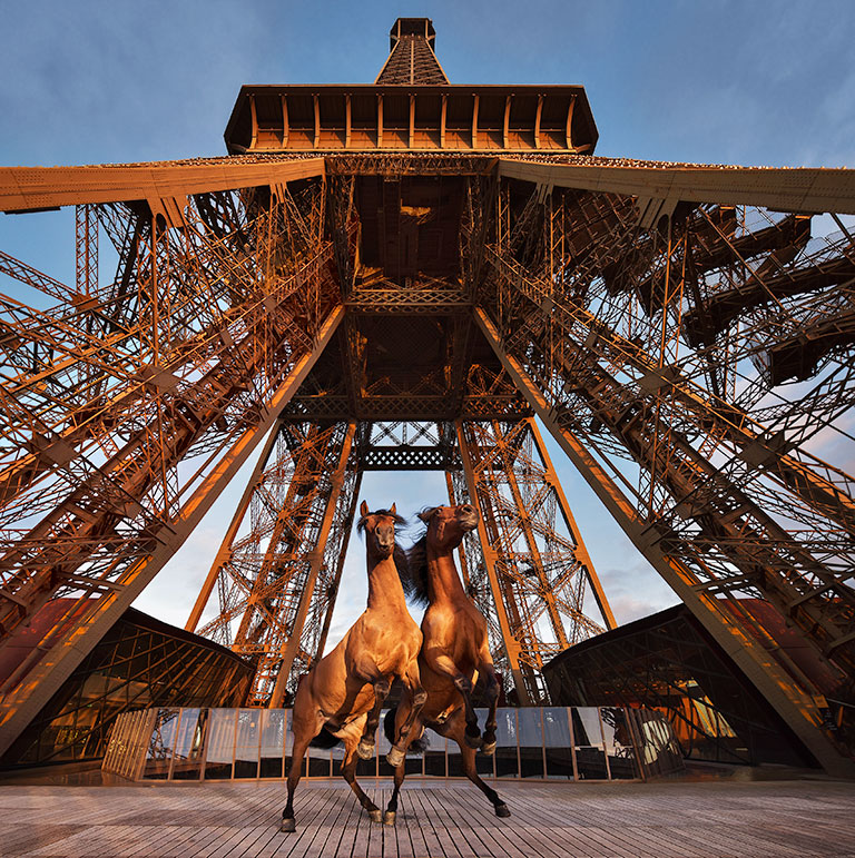 Two brown horses galloping through the Eiffel Tower