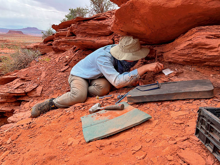 A young man in a hat digging for fossils in red rock and dirt.
