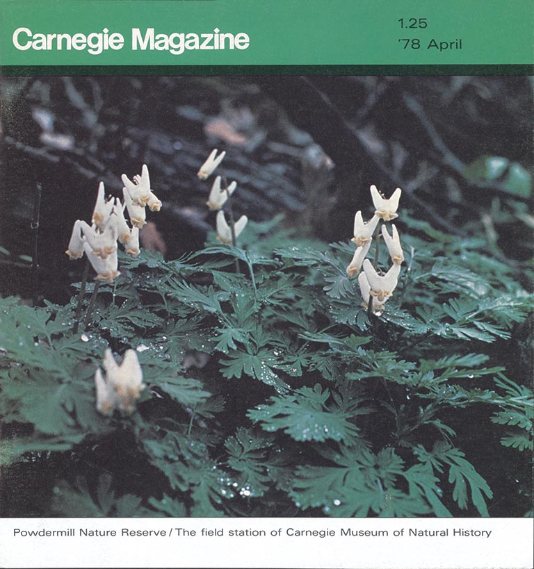 Cover of Carnegie Magazine, April 1978, featuring a serene forest scene with delicate white flowers, and lush green foliage at Powdermill Nature Reserve.