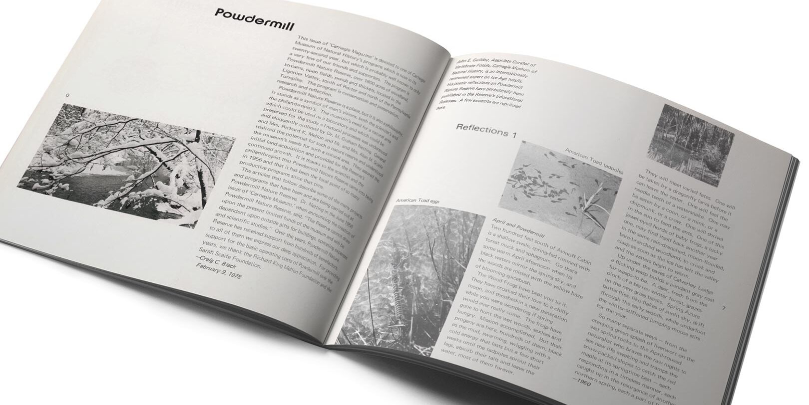 An open magazine features two pages with black-and-white photographs and text. The left page shows snow-covered branches, while the right has varied nature images. The tone is reflective.