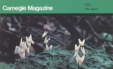 Cover of Carnegie Magazine, April 1978, featuring a serene forest scene with delicate white flowers, and lush green foliage at Powdermill Nature Reserve.