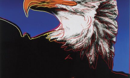 Stylized illustration of a bald eagle head with a vivid orange beak against a deep blue background. The eagle is outlined in red, conveying elegance and strength.