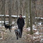 A person in winter clothing walks two dogs on a snowy forest trail, surrounded by bare trees. The scene is calm and serene, evoking a sense of peaceful solitude.
