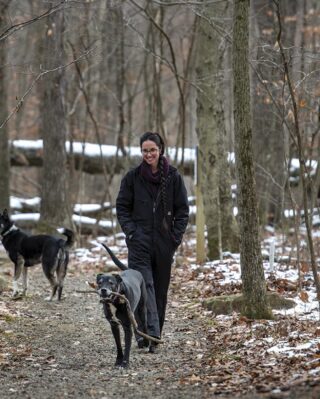 A person in winter clothing walks two dogs on a snowy forest trail, surrounded by bare trees. The scene is calm and serene, evoking a sense of peaceful solitude.