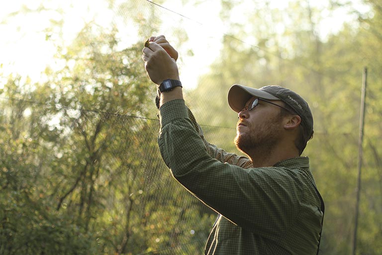 A person in a cap and glasses adjusts a netting in a sunlit forest. The serene setting with lush greenery suggests focus and tranquility.