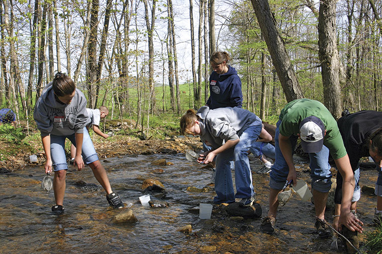 A group of teens, wearing casual clothes, lean over a shallow, rocky stream in a forest, engaged in water testing. The scene is lively and focused.