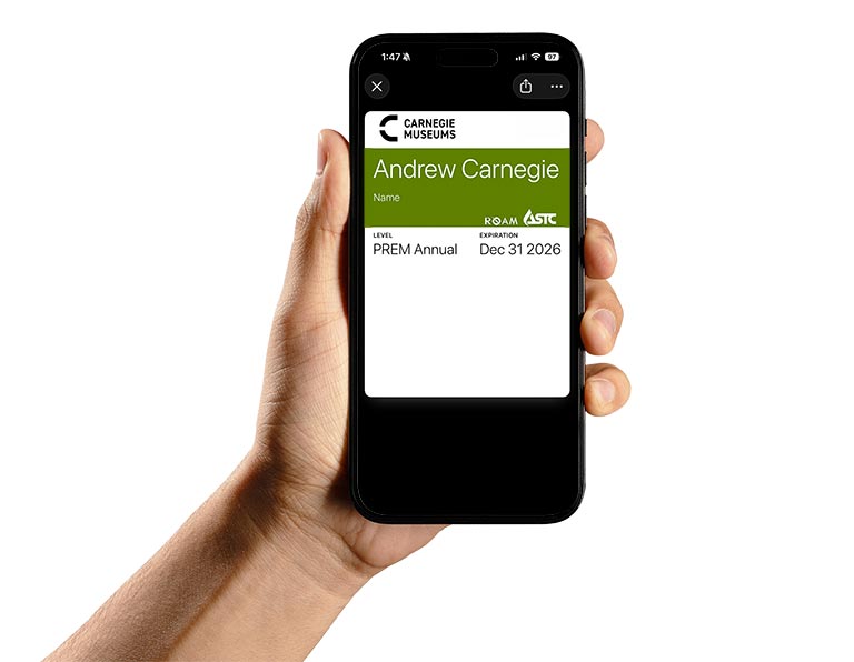 A hand holds a smartphone displaying a digital Carnegie Museums membership card. The card shows a green and white design with membership details.