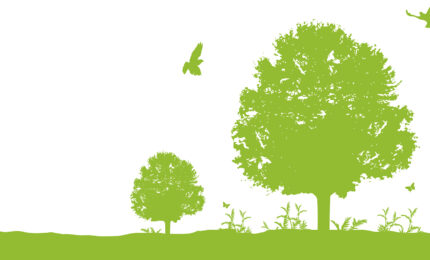 Green silhouette Illustration of trees and birds