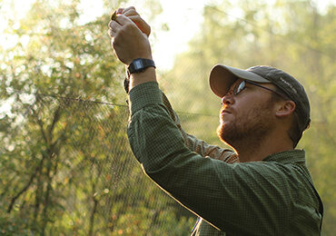 A man removing a bird from a net