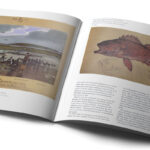 An open book displaying historical illustrations of wildlife, featuring a fishing scene on one page and a fish drawing on the other.