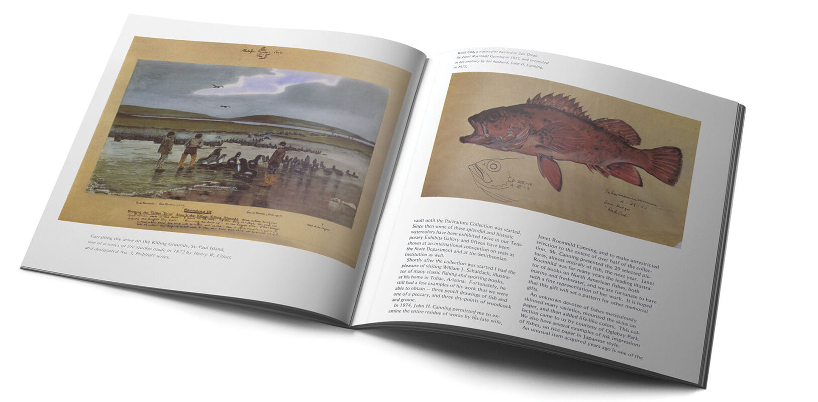 An open book displaying historical illustrations of wildlife, featuring a fishing scene on one page and a fish drawing on the other.