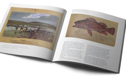 An open book displaying historical illustrations of wildlife, featuring a fishing scene on one page and a fish drawing on the other.