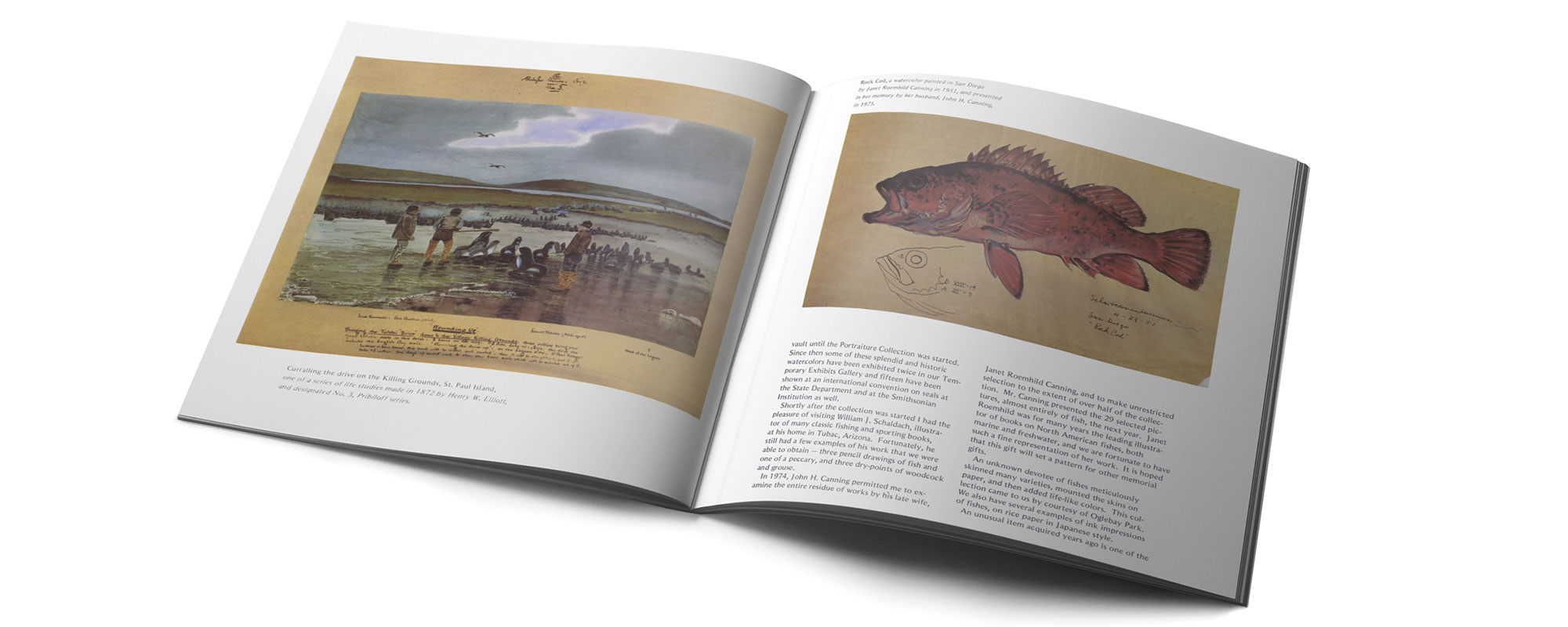 An open book displaying historical illustrations of wildlife, featuring a fishing scene on one page and a fish drawing on the other.