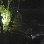 A person stands near a riverbank at night, illuminating lush greenery with a flashlight, surrounded by rocks and flowing water.