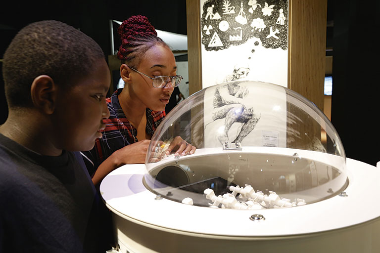 Two visitors interact with a transparent dome display, examining white objects inside while surrounded by informative artwork in a museum.