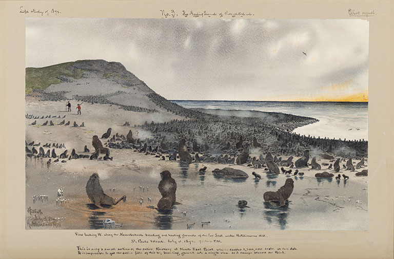 Watercolor of a coastal scene with seals lounging on rocks, two figures walking on the shore, and a distant, hilly landscape at dusk.