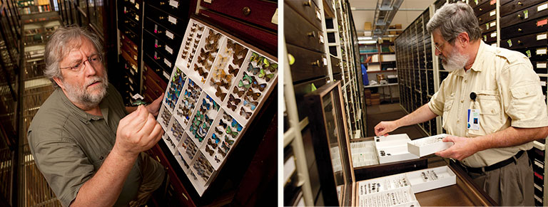 2 scientists working in the bug rooms of Carnegie Museum