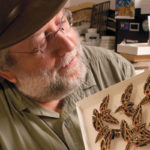 scientist working on and surrounded by bug specimens
