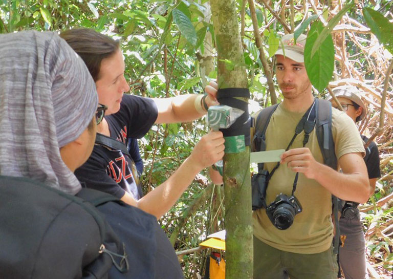 A group of people examining a recording device attached to a tree