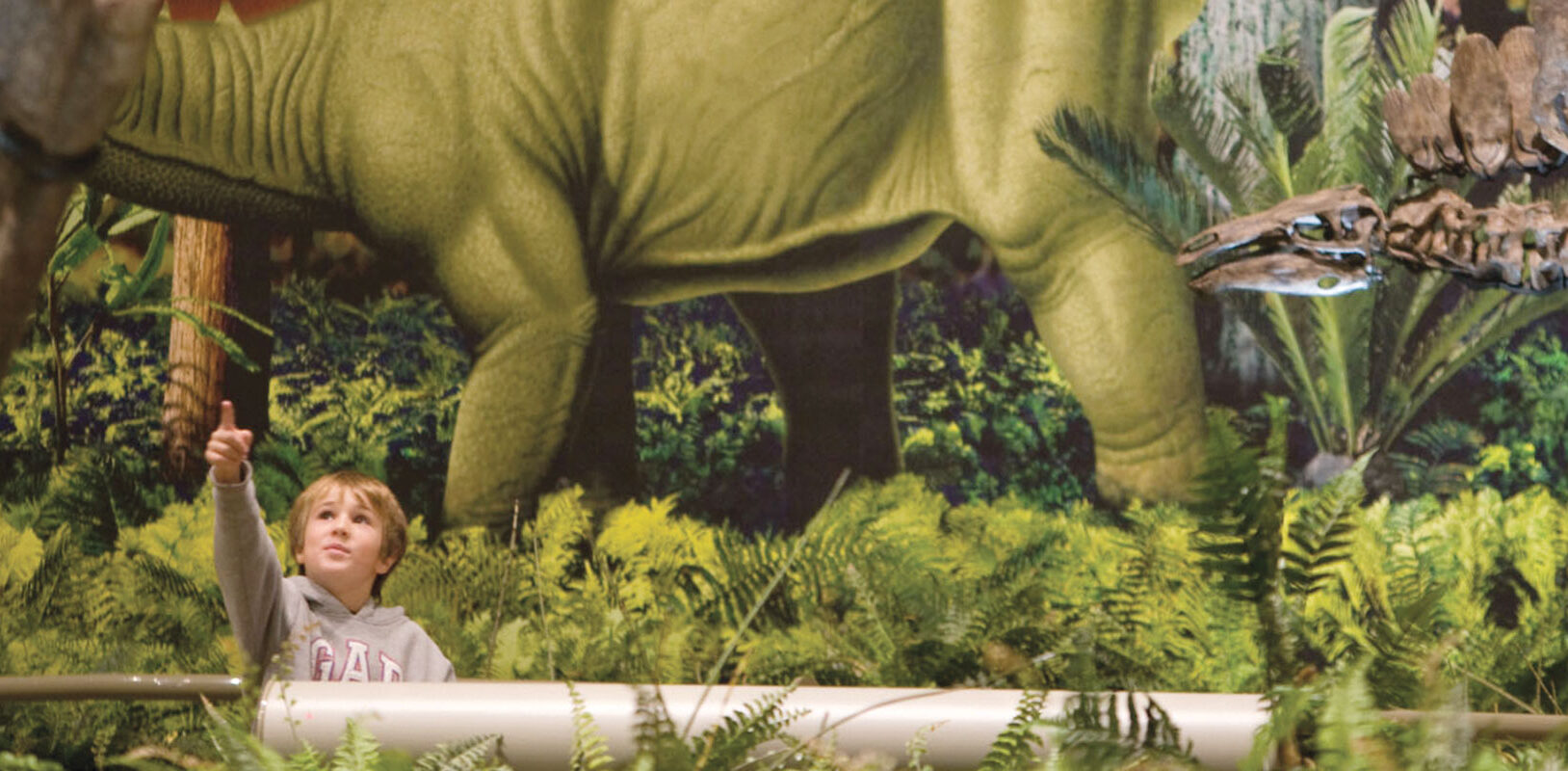 Young boy in the museum's dinosaur exhibit.