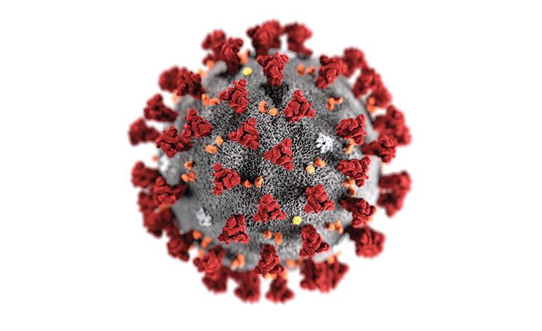 A scientific illustration of the Corona Virus.