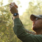 A man removing a bird from a net used to catch birds for banding.