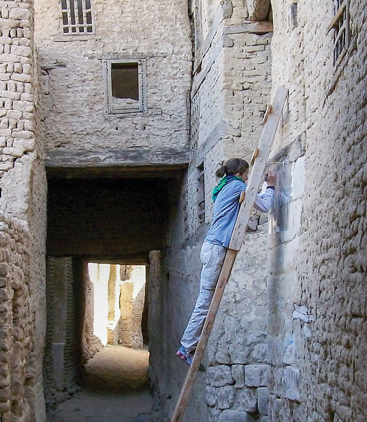 A woman on a ladder working on an ancient egyptian wall
