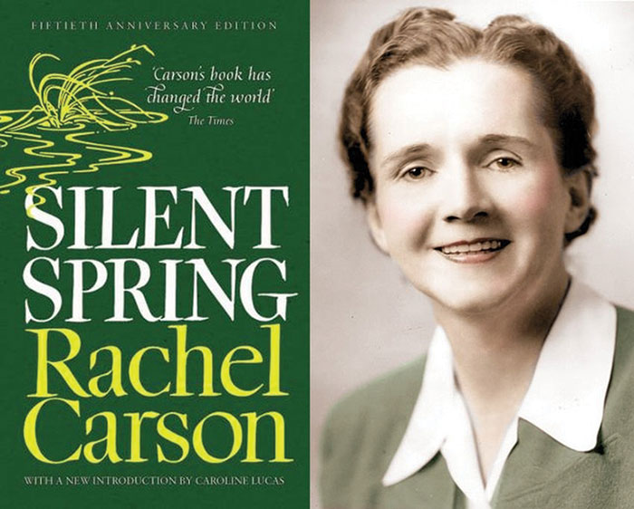 The cover of the book Silent Spring along side of a photo of Rachel Carson.