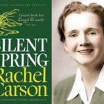 The cover of the book Silent Spring along side of a photo of Rachel Carson.
