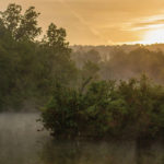 An outdoor scene of a pond with mist rising from it early in the morning.