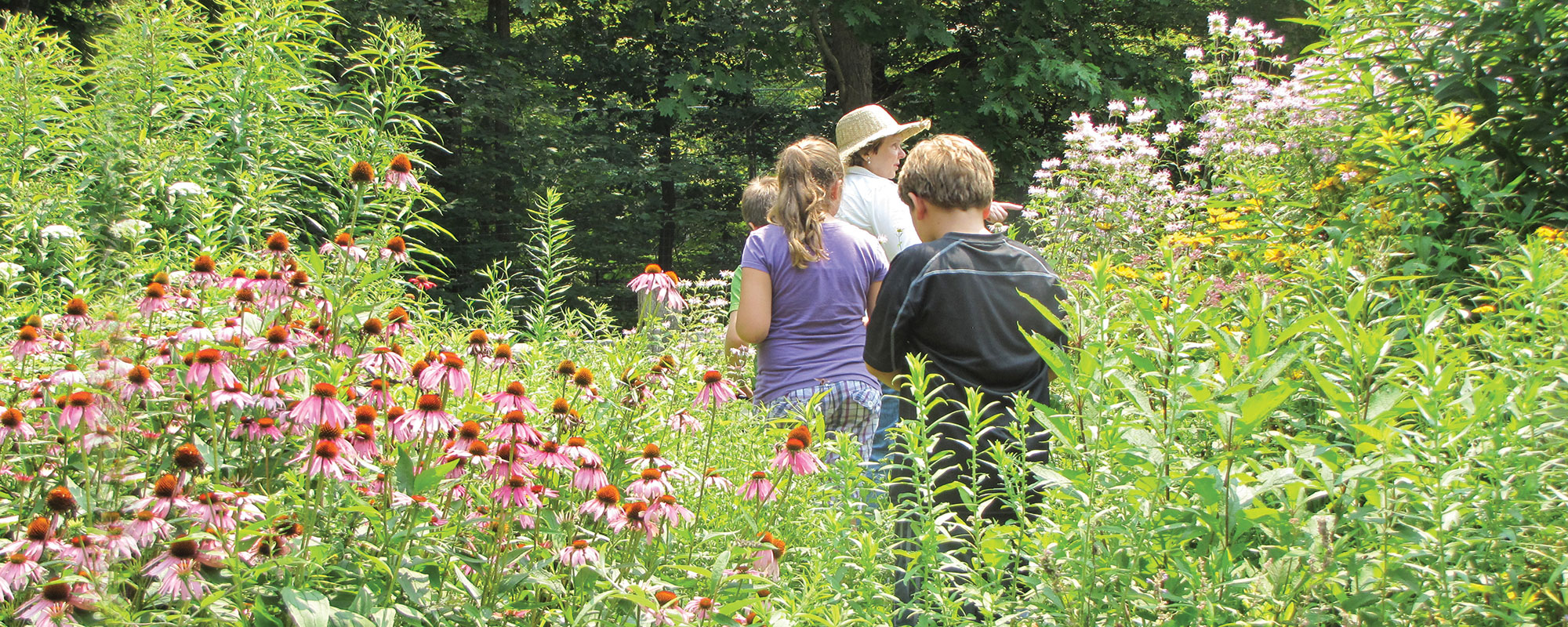 A group of children being leasd by a woman in a field of flowers