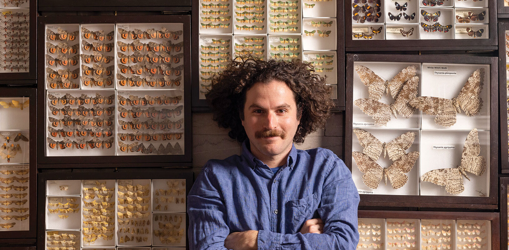 A man with curly hair surrounded by cases of butterfly and moth specimens.