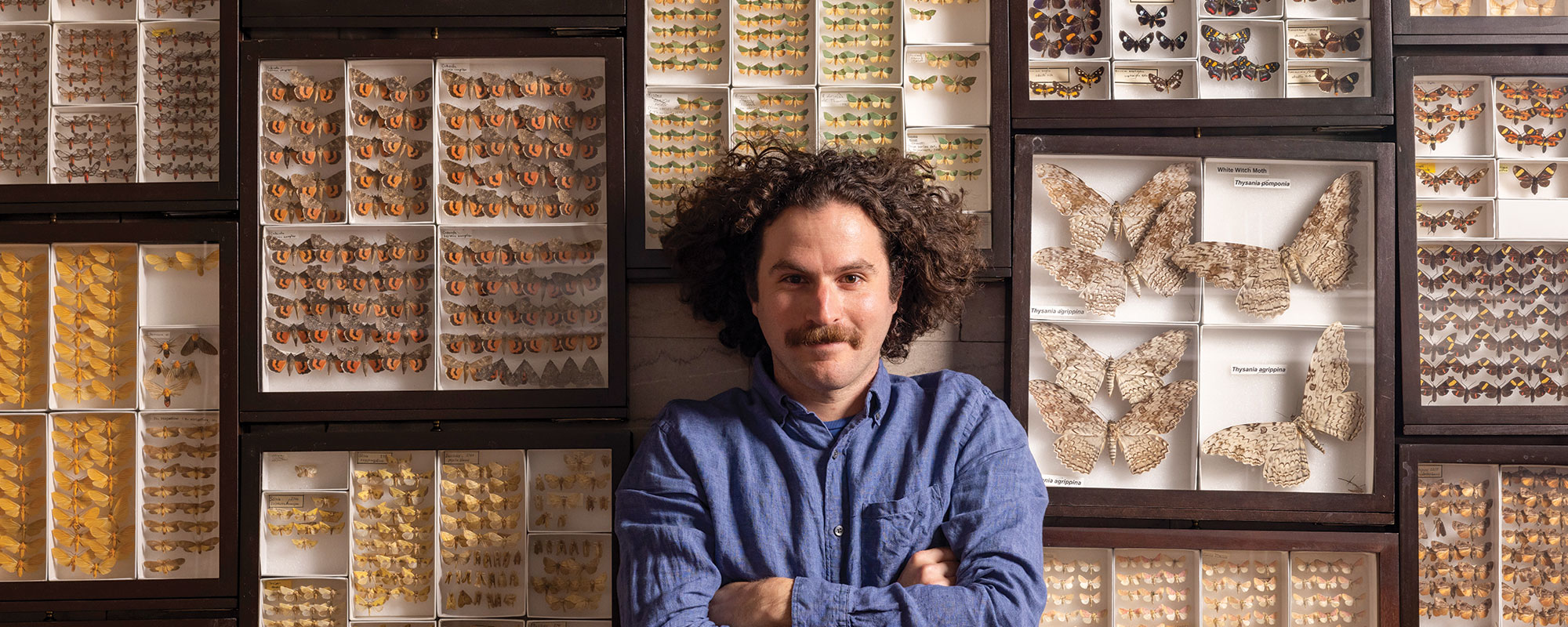 A man with curly hair surrounded by cases of butterfly and moth specimens.