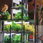 An employee tending to an indoor garden.