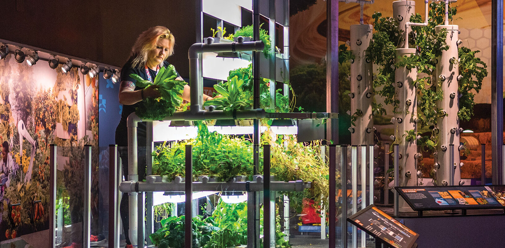 An employee tending to an indoor garden.