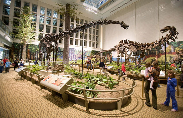 An overall view of Dinosaurs in Their World exhibit hall showing Dippy the dinosaur.