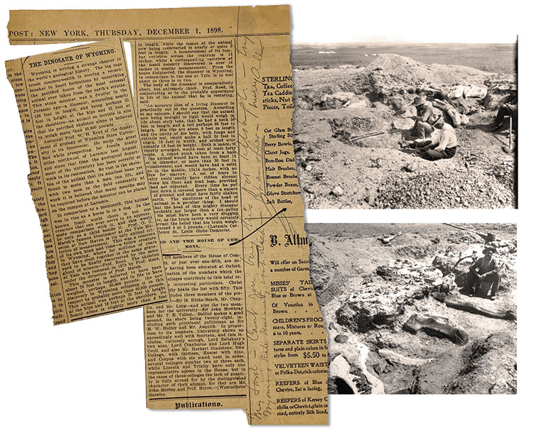 A newspaper clipping with a handwritten not from Andrew Carnegie, laying on top of 2 historic photos from a dinosaur dig.