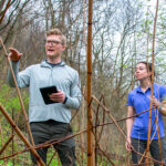 Two scientists standing among stalks of dead plants.