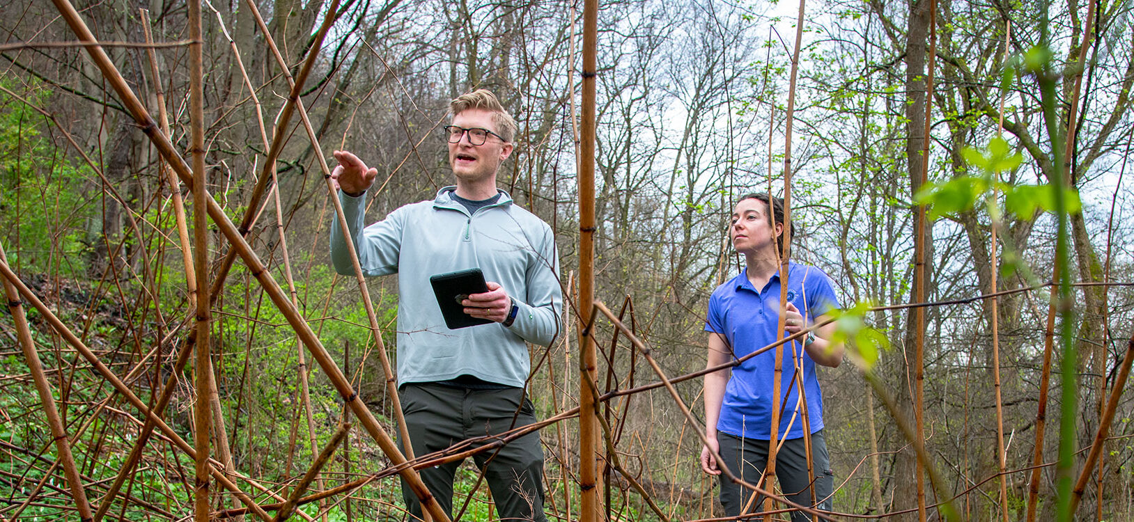 Two scientists standing among stalks of dead plants.