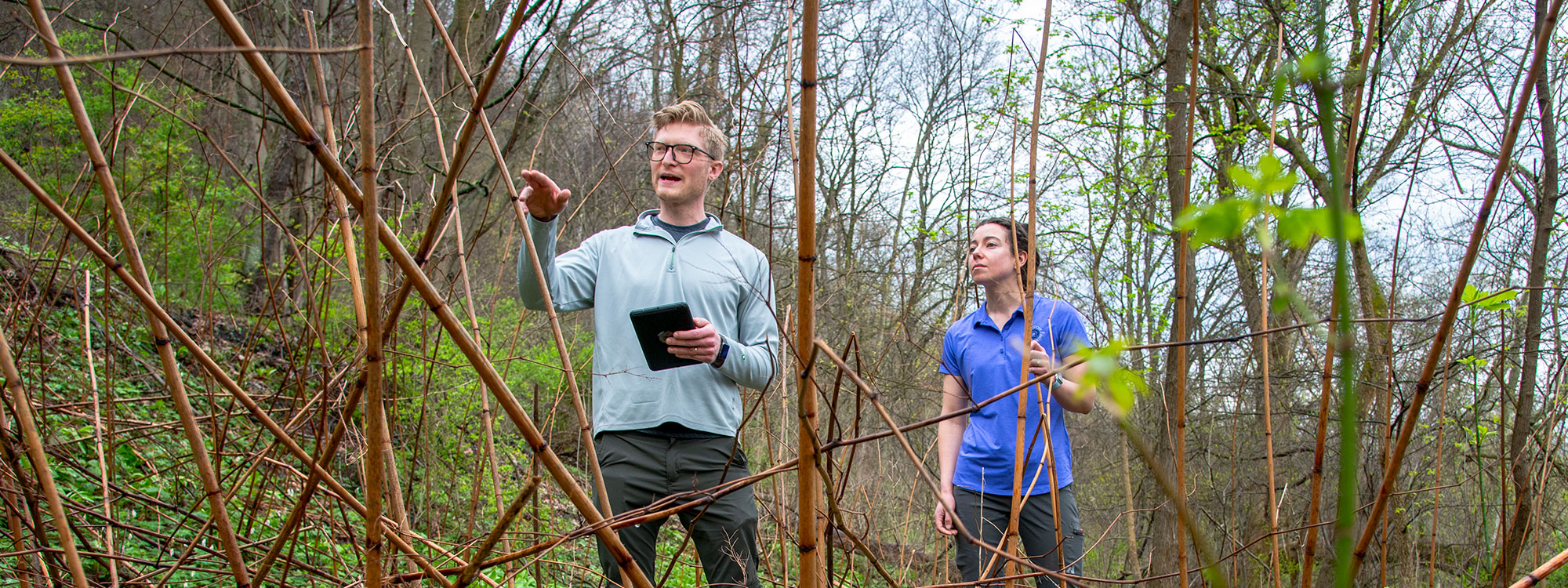 Two scientists standing among stalks of dead plants.